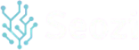 seozi logo.png